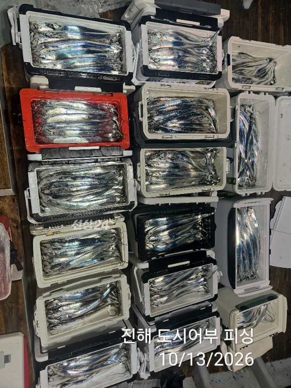 KakaoTalk_20261013_051029627_12.jpg