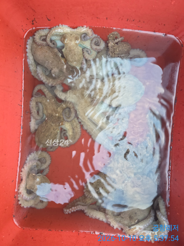 1791624650722.jpg