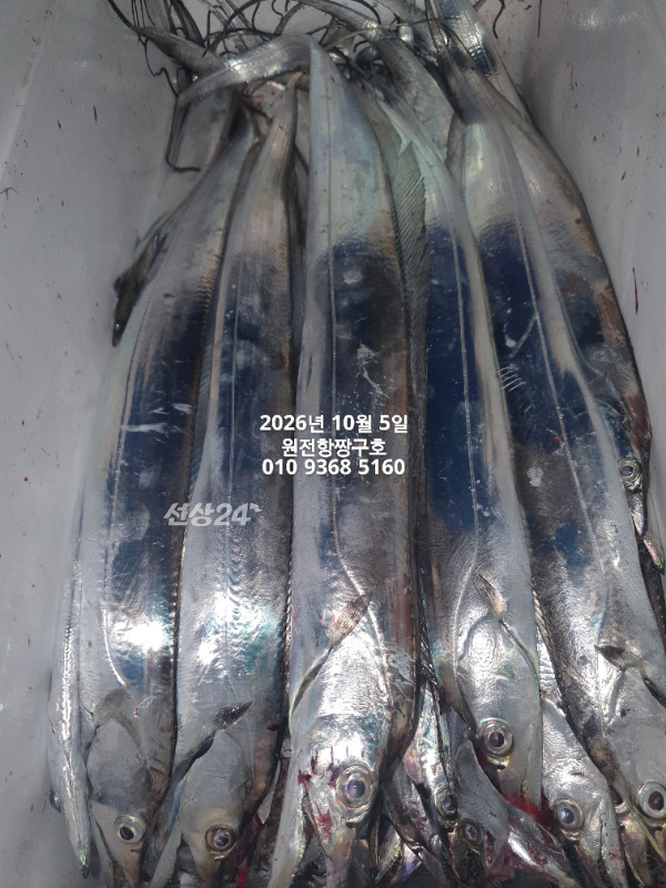 KakaoTalk_20261005_051425255_03.jpg