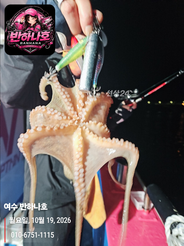 20261019_054946_제목-여수 반하나호_010-6751-1115.jpg