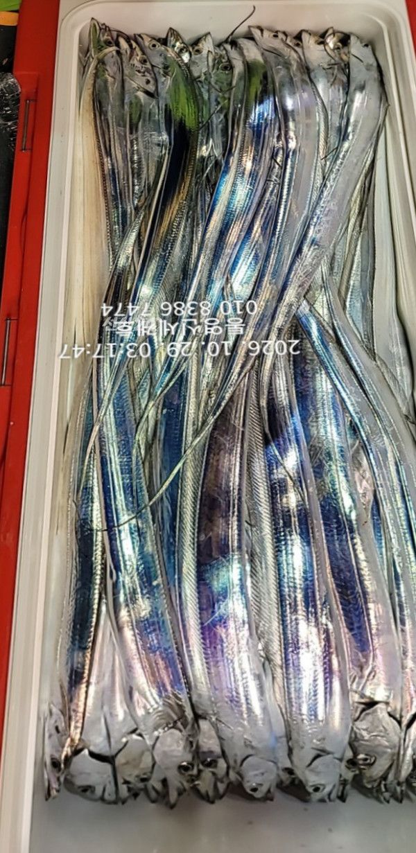 1793223075978.jpg