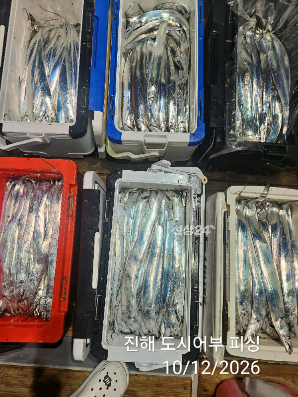 KakaoTalk_20261012_044857632_12.jpg