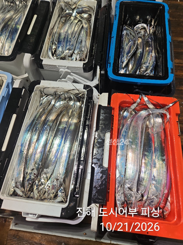 KakaoTalk_20261021_040550071_15.jpg