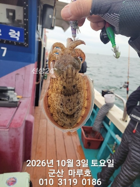 KakaoTalk_20261003_092229891.jpg