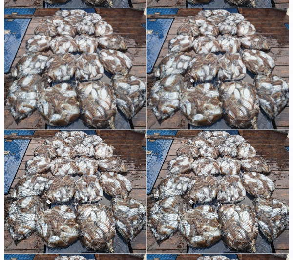 1000085782.jpg