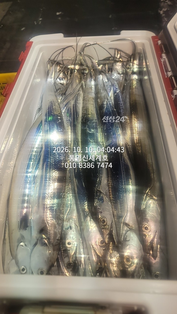 1791611604381.jpg