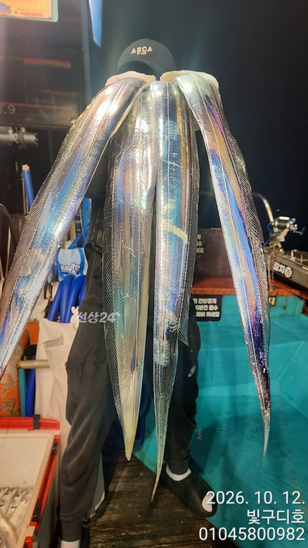 12591.jpg