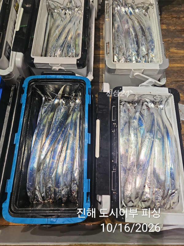 KakaoTalk_20261016_060819468_14.jpg