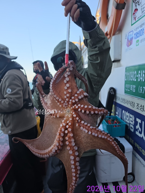 쎄븐피싱클럽(선상 버스출조전문)_사진_20261022_2.jpg