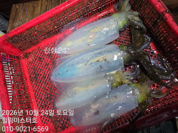 KakaoTalk_20261025_004750879.jpg