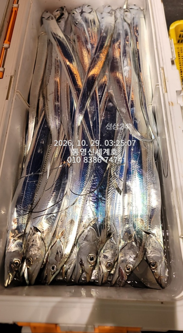 1793223075019.jpg