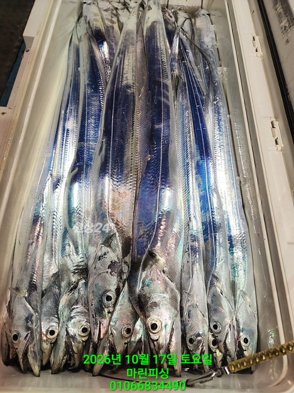 KakaoTalk_20261017_103959176_25.jpg