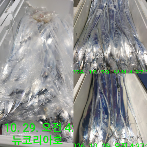 1000104291.jpg