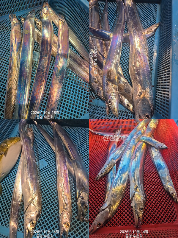 1792013533966-tile.jpg