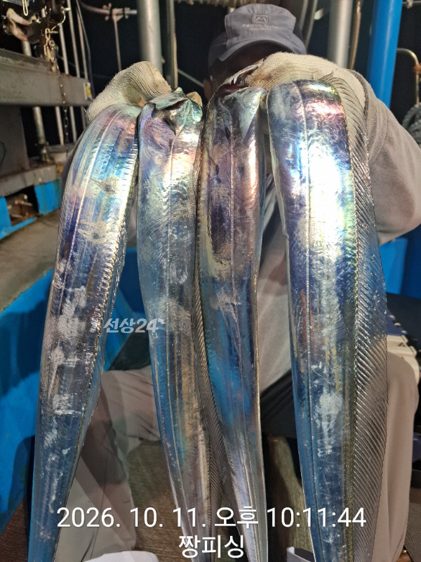 1000084384.jpg