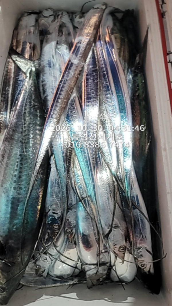1793310004749.jpg
