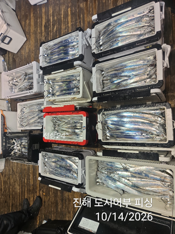 KakaoTalk_20261014_043827989_12.jpg