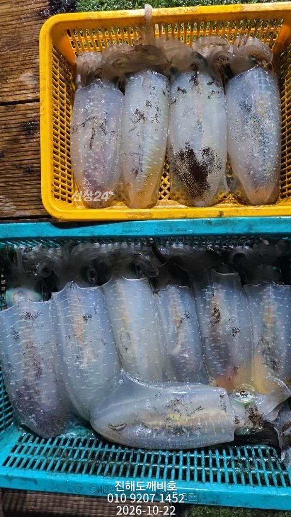 9786.jpg