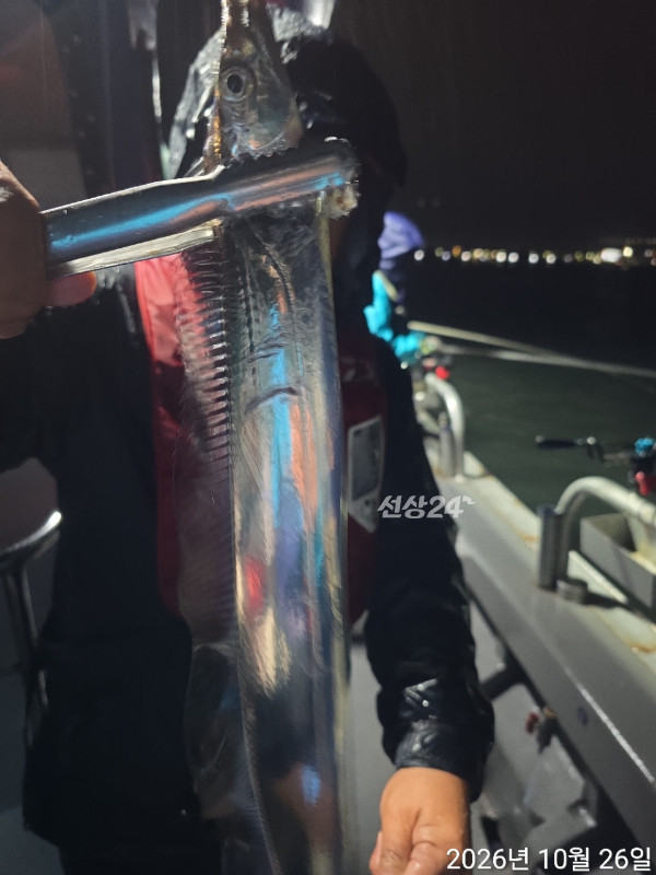 1000408238.jpg