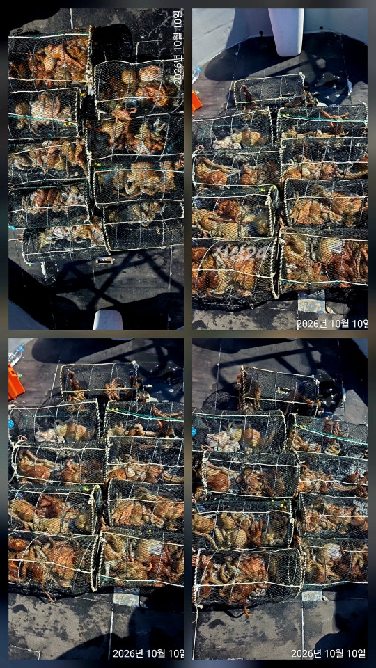 1000161019.jpg