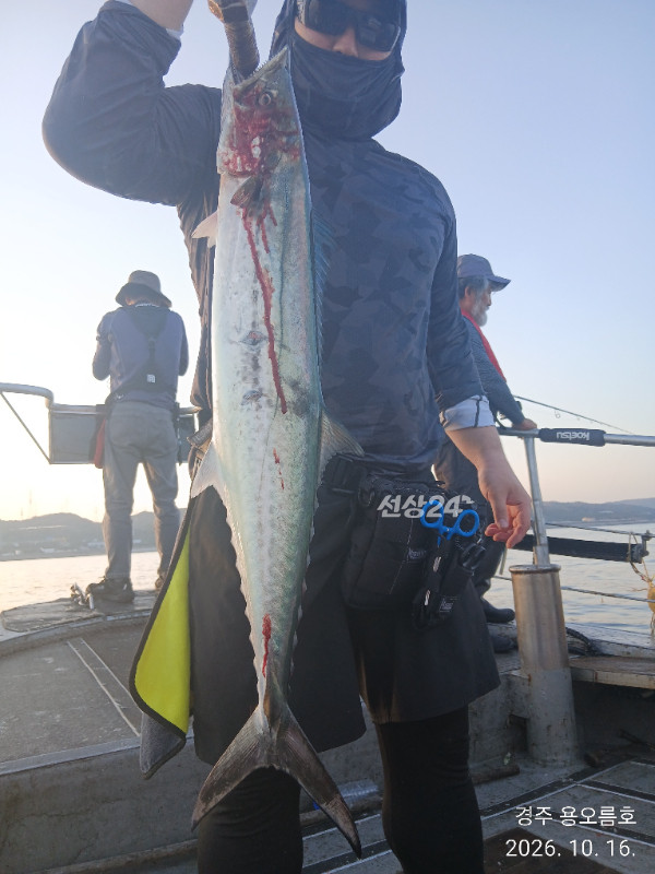 KakaoTalk_20261016_180308715_11.jpg
