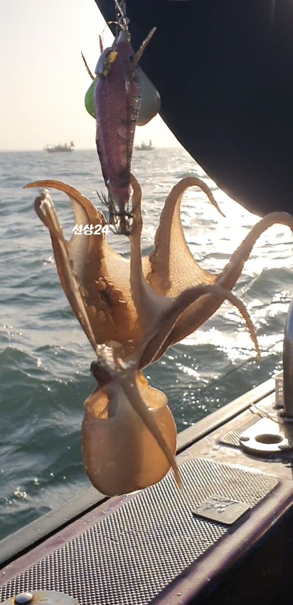 Screenshot_20261031_132834_Video Player.jpg
