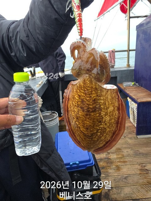 KakaoTalk_20261029_154102557_11.jpg