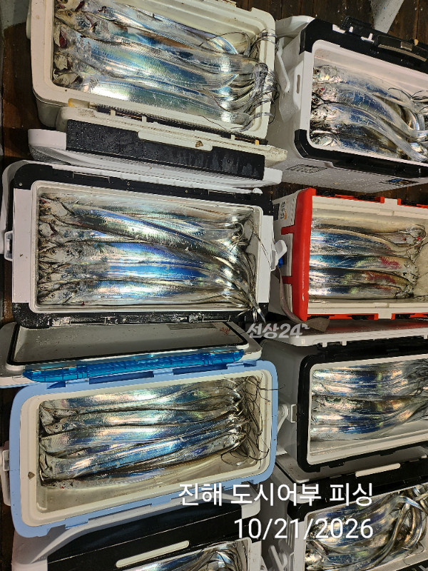 KakaoTalk_20261021_040550071_14.jpg