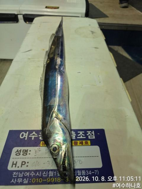 KakaoTalk_20261009_050314149_14.jpg