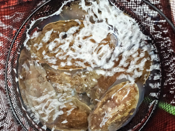 KakaoTalk_20261019_194848393_12.jpg