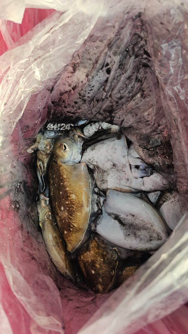 KakaoTalk_20261017_171123770_05.jpg