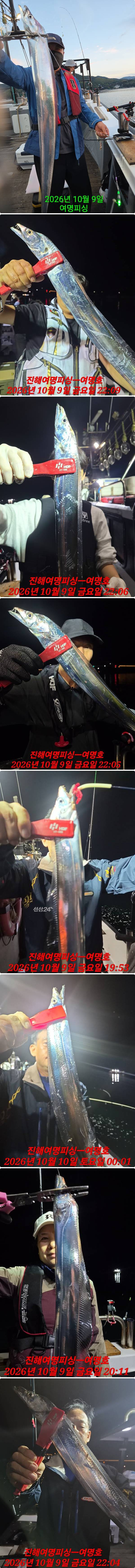 10일갈치상.jpg