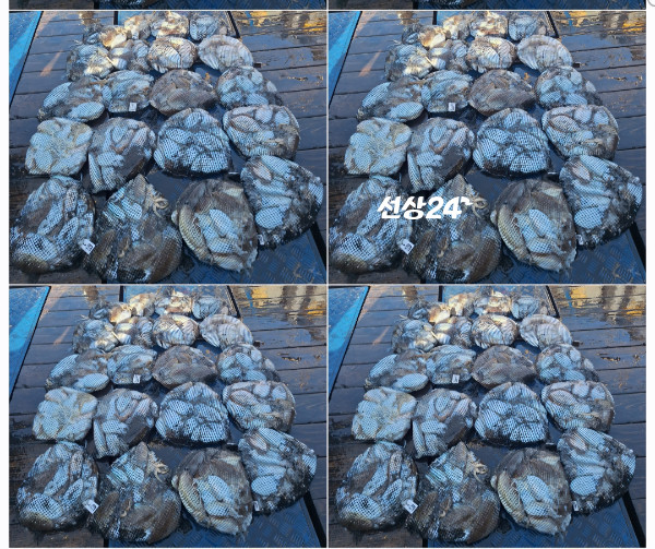 1000086303.jpg