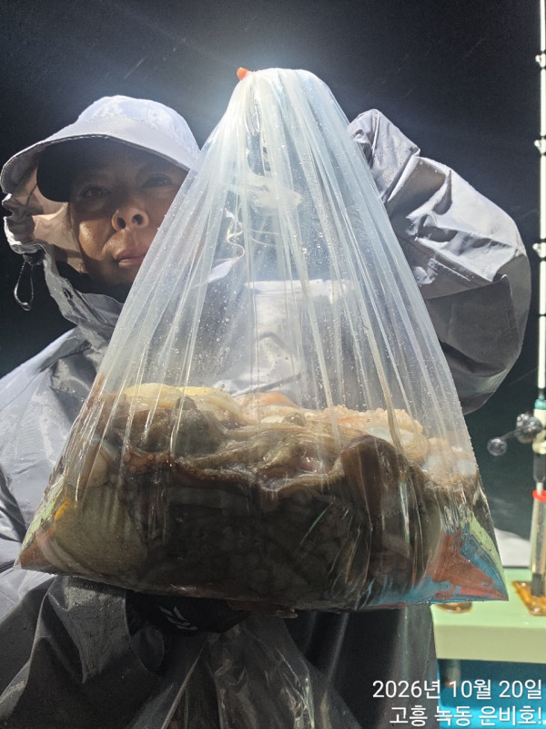 고흥 녹동 은비호!(두족류,돌돔,외수질)_사진_20261020_13.jpg