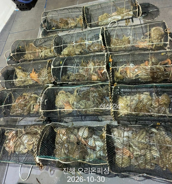 KakaoTalk_20261030_034708425.jpg