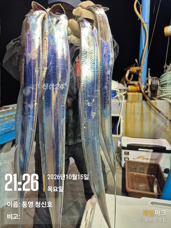 통영청신호입니다_사진_20261016_14.jpg