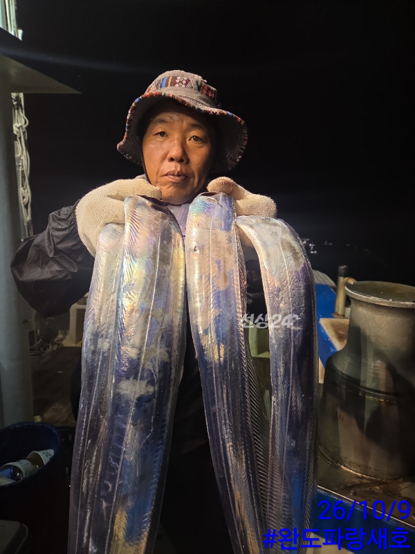 완도파랑새호(블루버드)_사진_20261009_9.jpg