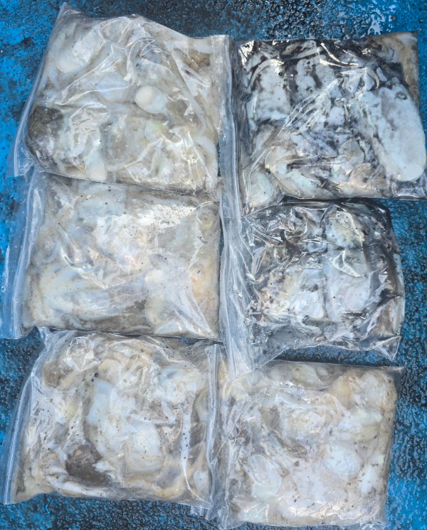 1791103397487.jpg
