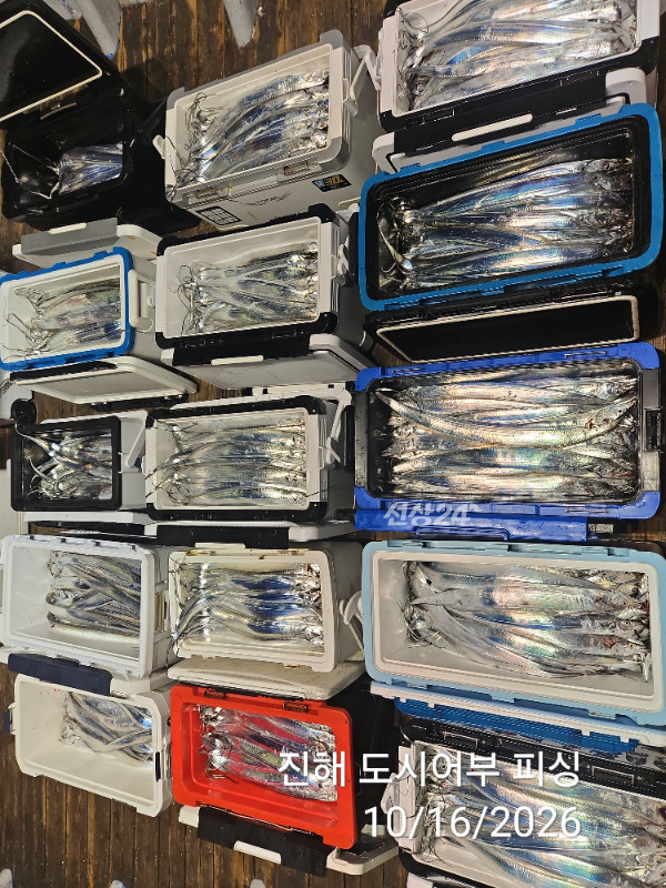 KakaoTalk_20261016_060819468_11.jpg