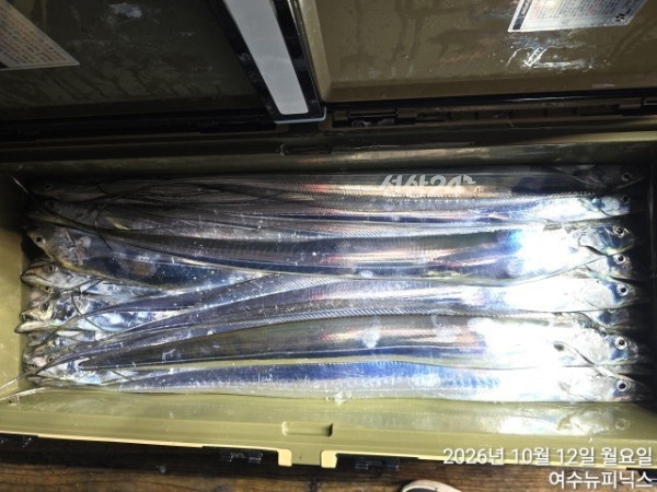 10월12일갈치 (25).jpg