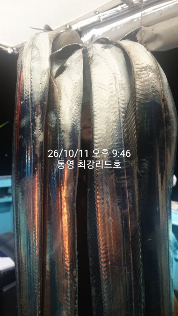 KakaoTalk_20261014_100554675_03.jpg