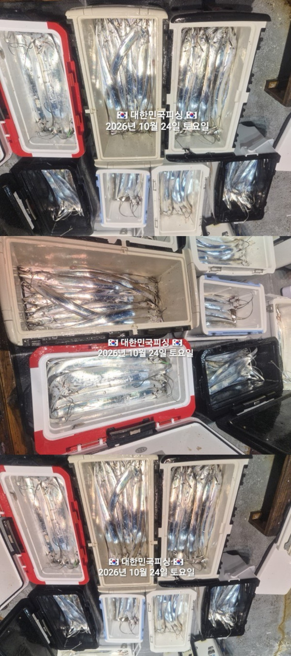 갈치2.jpg
