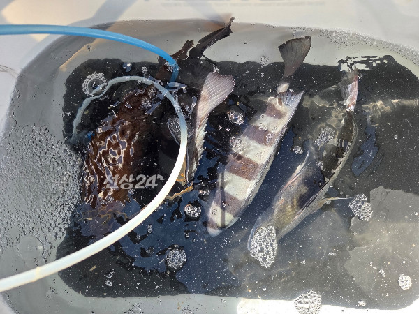 IMG_3863.JPG