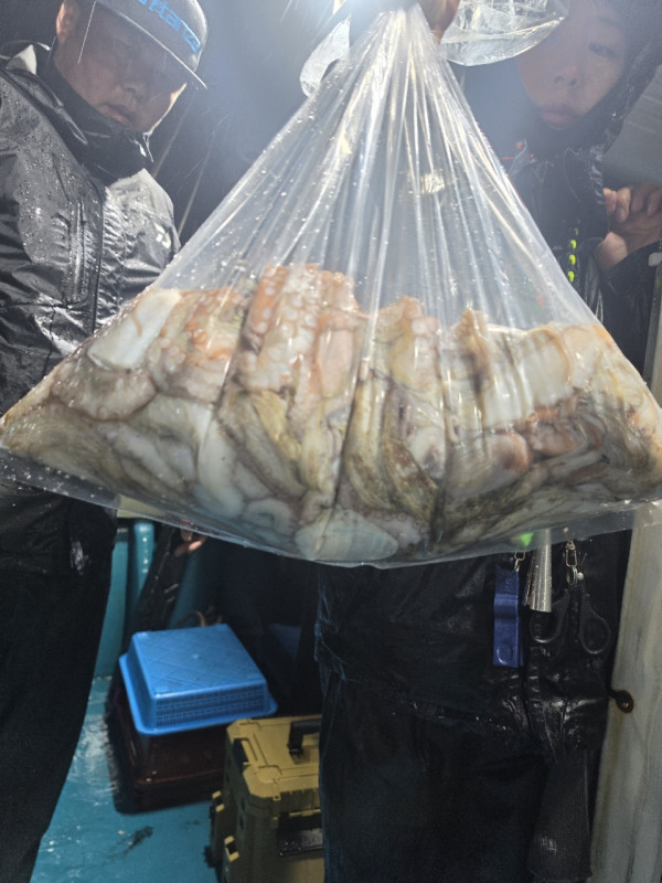 고흥 녹동 은비호!(두족류,돌돔,외수질)_사진_20261020_14.jpg