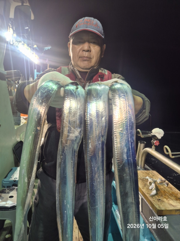 신아라호 한치 칼치 오징어_사진_20261005_12.jpg