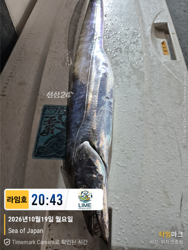 KakaoTalk_20261020_085945175_02.jpg