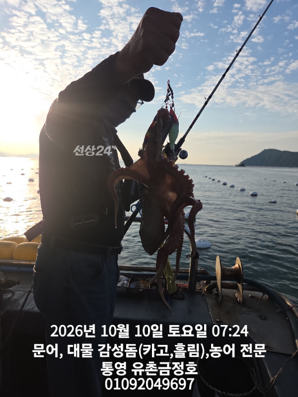 1000062393.jpg