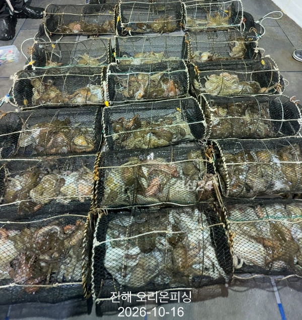 KakaoTalk_20261016_020529972_14.jpg