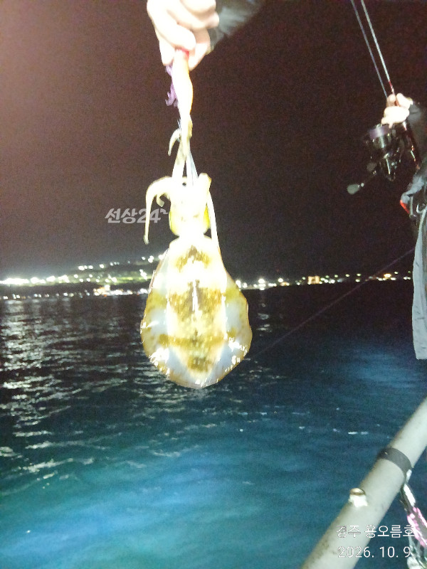 KakaoTalk_20261009_235851475_03.jpg