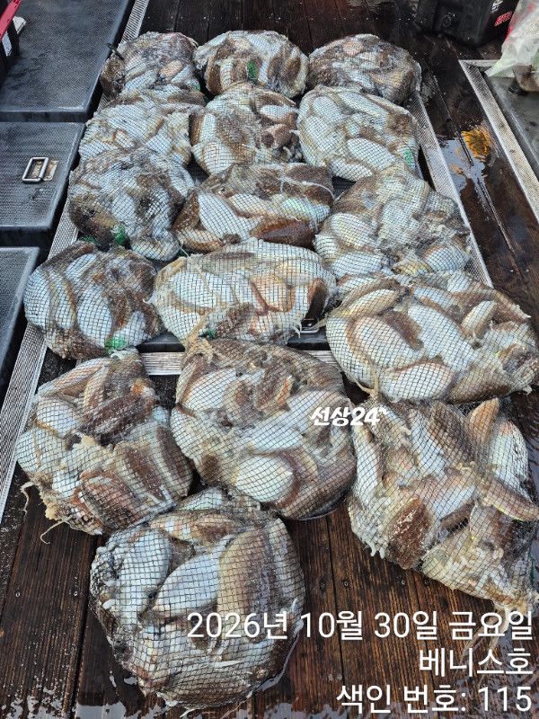 KakaoTalk_20261030_194742235_07.jpg